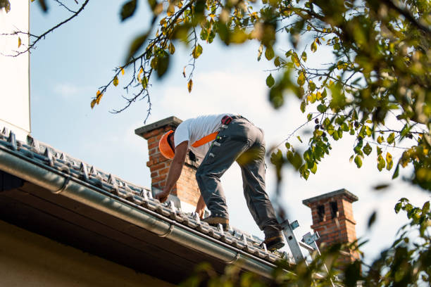 Best Tile Roofing Contractor  in Golden Meadow, LA