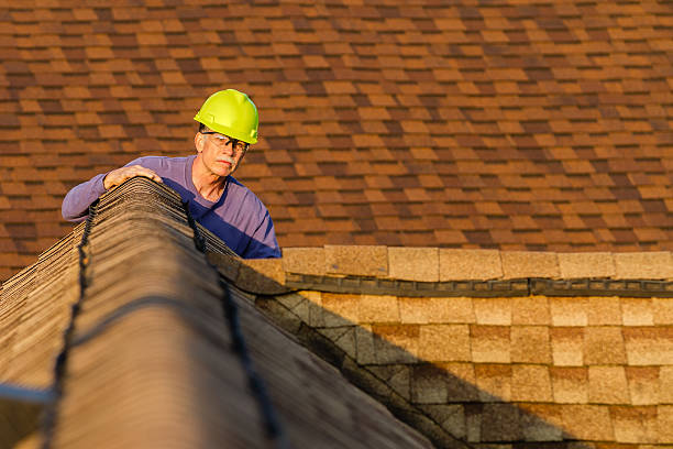 Best Roof Gutter Cleaning  in Golden Meadow, LA