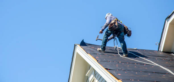 Best Metal Roofing Contractor  in Golden Meadow, LA